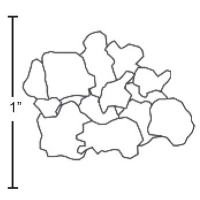 Hoshizaki flaked ice diagram, 1 inch size, for F-2001MLJ icemaker.