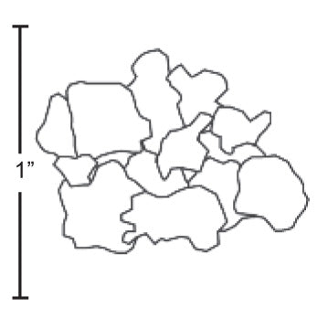 Hoshizaki flaked ice illustration with 1-inch measurement.